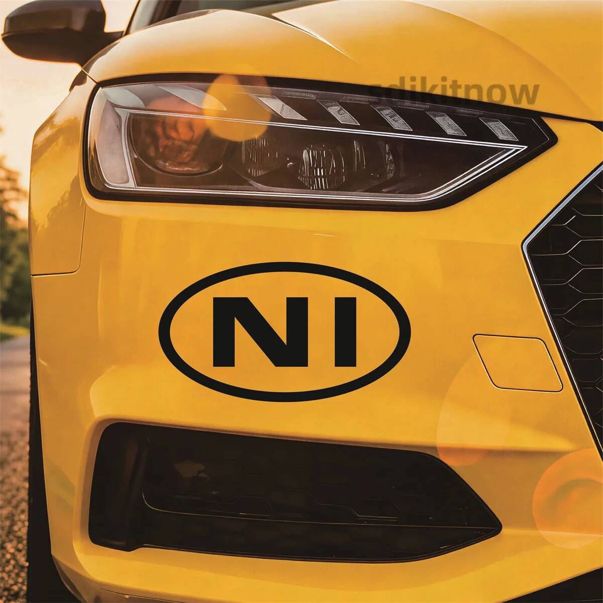 타원형 북아일랜드 NI 문자 자동차 스티커 현대 기아  - Car Accessories Ireland 리뷰 및 가격